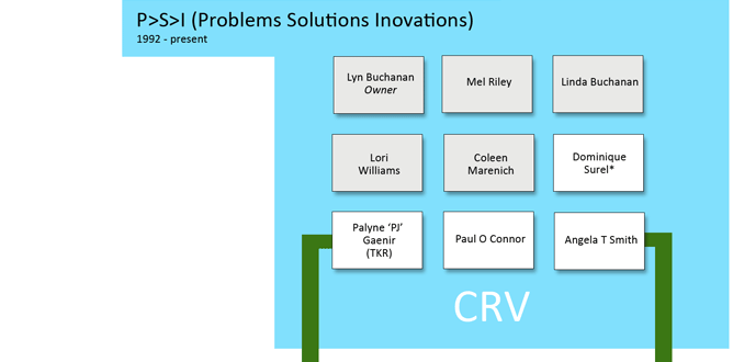  P>S>I - Problems Solutions Inovations - 1992 - present